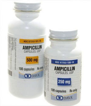 Ampicillin (Principen) 500mg  x 1's
